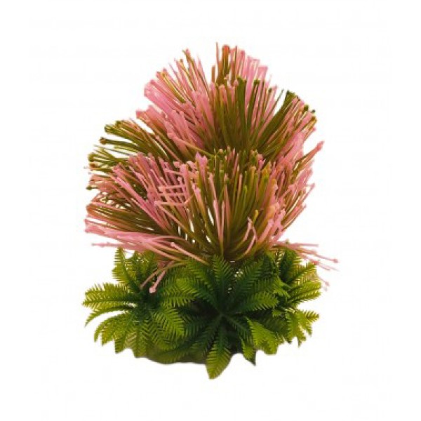 ΔΙΑΚΟΣΜΗΤΙΚΟ ΦΥΤΟ ΕΝΥΔΡΕΙΟΥ 16CM